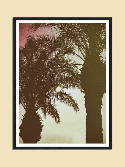 Sittn` Under Palm Trees