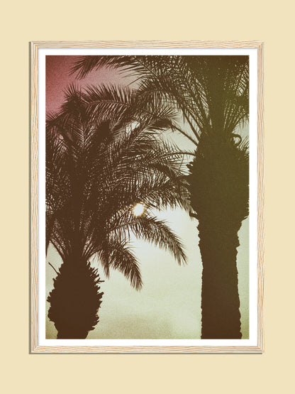 Sittn` Under Palm Trees